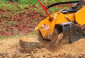 Soil Testing and Treatment in Coalfield, TN